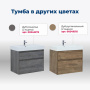 Тумба под раковину Aquanet Nova Lite 75 белый (2 ящика) Тумба под раковину Aquanet Nova Lite 75 белый (2 ящика)