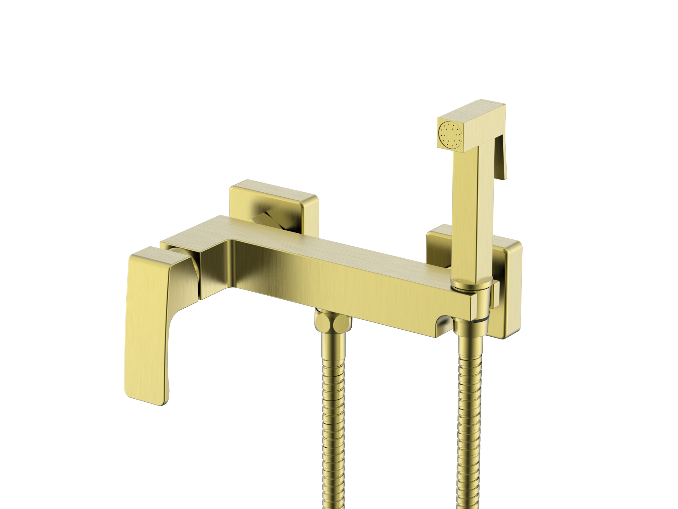 Смеситель Raglo настенный с гигиеническим душем R01.51