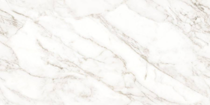 Carrara Immense Керамогранит белый 60х120 Полированный Carrara Immense Керамогранит белый 60х120 Полированный