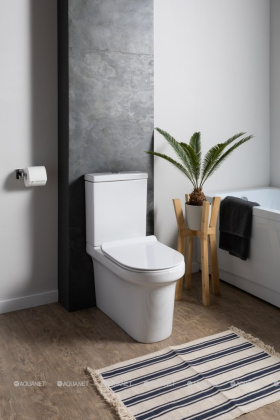 Сливной бачок Aquanet Nova-C2 BL-101N-TPT-A Сливной бачок Aquanet Nova-C2 BL-101N-TPT-A