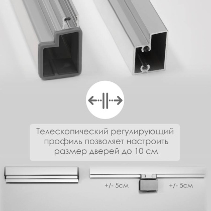 Berkel 48P04 Душевая дверь Wasserkraft