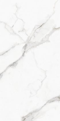 GT120607803PR Керамогранит Monza_GT Бел. 60x120 полир._ 1\40,32 GT120607803PR Керамогранит Monza_GT Бел. 60x120 полир._ 1\40,32