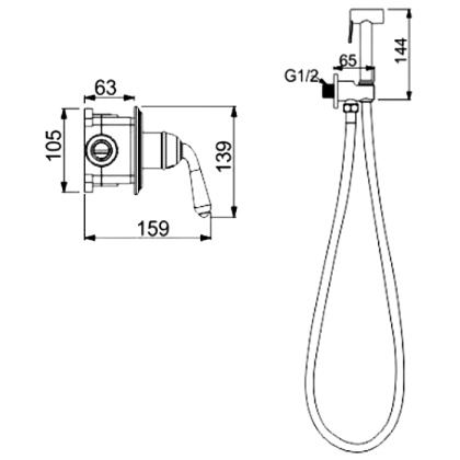 Гигиенический душ со смесителем Rose R0205E, золото Гигиенический душ со смесителем Rose R0205E, золото