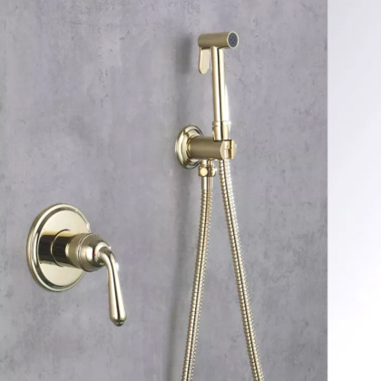 Гигиенический душ со смесителем Rose R0205E, золото Гигиенический душ со смесителем Rose R0205E, золото