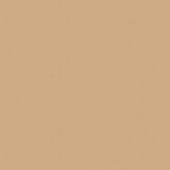 Керамогранит RW15 60x60 Непол.Рект.