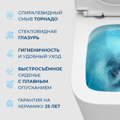 LUCE-TOR Унитаз подвесной безободковый с сиденьем дюропласт soft close, BB076CH-TOR/SC LUCE-TOR Унитаз подвесной безободковый с сиденьем дюропласт soft close, BB076CH-TOR/SC