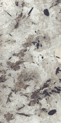 Керамогранит Patagonia High Gloss 60х120 Керамогранит Patagonia High Gloss 60х120