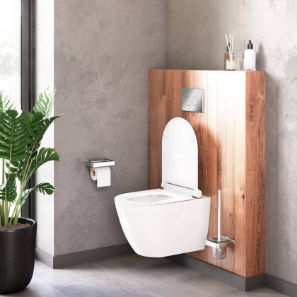 DX22C1700SC Apollo Унитаз подвесной без ободка с сиденьем микролифт