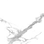 Statuario Crown Керамогранит белый 60x60 сатинированный Statuario Crown Керамогранит белый 60x60 сатинированный