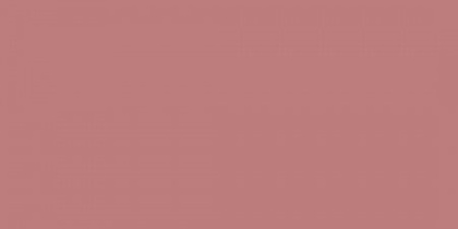 GTF 448 600х1200 матовый