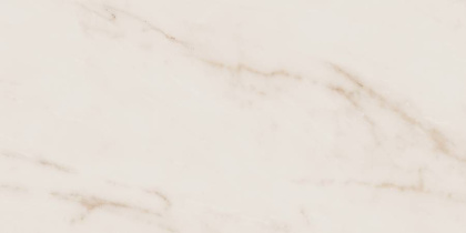 Керамогранит MO02 30,6x60,9x8 Непол.