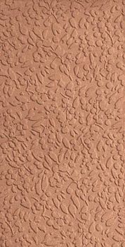 Керамогранит Nisus Coral Rect 30х60