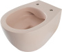 Чаша подвесного унитаза Allen Brau Fantasy 4.11004.SM розовый