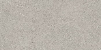 Керамогранит NP01 30,6x60,9x8 Непол.