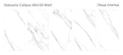 Керамогранит матовый STATUARIO CALIPSO 60x120 MATT, Silk 60х120 Керамогранит матовый STATUARIO CALIPSO 60x120 MATT, Silk 60х120