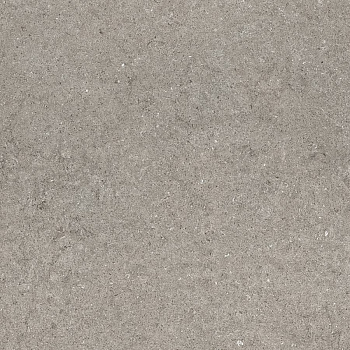 Дискавер Грэй 60 Рет