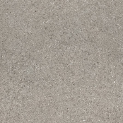 Дискавер Грэй 60 Рет Дискавер Грэй 60 Рет