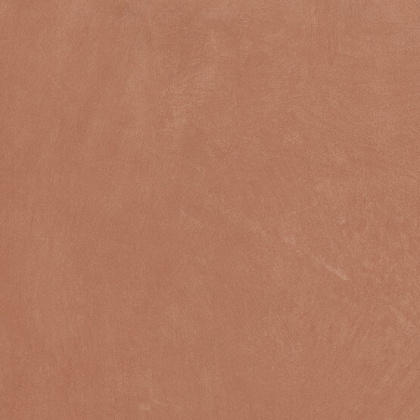 Керамогранит Argillae Coral Rect 60х60 Керамогранит Argillae Coral Rect 60х60