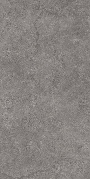 Портленд серый тёмный матовый обрезной 60x119,5x2