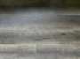 Кварц-виниловый ламинат SPC Aspenfloor Trend TR2-07 Дуб Оникс 4V (4мм//2,245м2) (1 220мм*184мм), м2