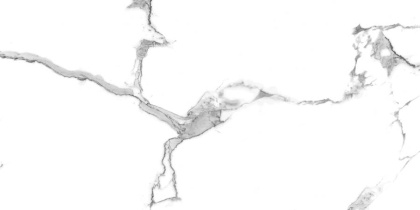 Керамогранит Laparet Statuario Crown белый полированный 60х120 (2шт_1,44м2), м2 Керамогранит Laparet Statuario Crown белый полированный 60х120 (2шт_1,44м2), м2