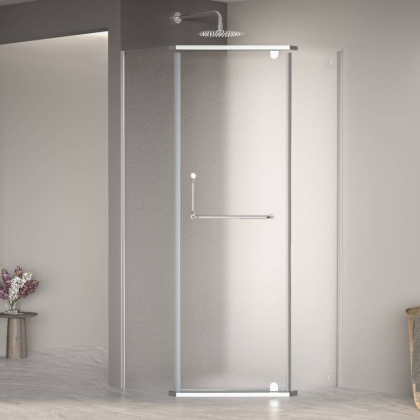 Душевой уголок 120*120*195 RGW PA-081 Трапеция/Хром/Матовое/6 мм (Easy)