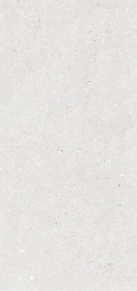 Керамогранит Stx Fossil Bianco 3pc 59,8х119,8 Керамогранит Stx Fossil Bianco 3pc 59,8х119,8