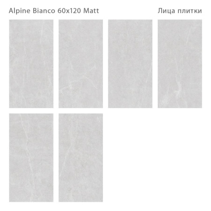 Керамогранит матовый ALPINE BIANCO 60x120 MATT, Silk 60х120 Керамогранит матовый ALPINE BIANCO 60x120 MATT, Silk 60х120