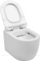 Унитаз подвесной Aquanet Rimless Cetus-BW BL-102N-WHT