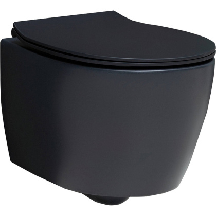 Чаша подвесного унитаза Allen Brau Fantasy 4.11004.31 черный матовый Чаша подвесного унитаза Allen Brau Fantasy 4.11004.31 черный матовый