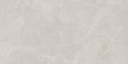 Stone Divine Grey Керамогранит серый 60х120 Матовый Stone Divine Grey Керамогранит серый 60х120 Матовый