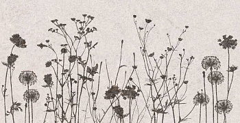 Декор Creto Flamel 31х61