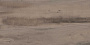 Керамогранит Kerama Marazzi Про Вуд беж тёмный обрезной 60х119,5