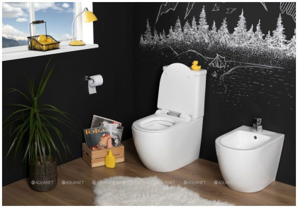 Сливной бачок Aquanet Cetus-C2 BL-102N-TPT Сливной бачок Aquanet Cetus-C2 BL-102N-TPT
