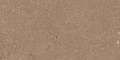 Керамогранит NP03 30,6x60,9x8 Непол.