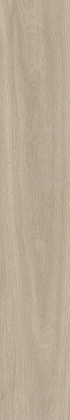 Керамогранит K947908R0001VTE0 OakWood Греж Матовый R10A Ректификат 20х120