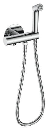 Смесители Raglo с гигиеническим душем встраиваемый с термостатом R23.56