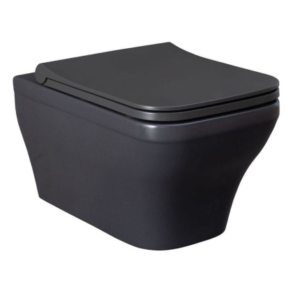 Чаша подвесного унитаза Allen Brau Infinity 4.21011.AN антрацит