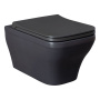 Чаша подвесного унитаза Allen Brau Infinity 4.21011.AN антрацит