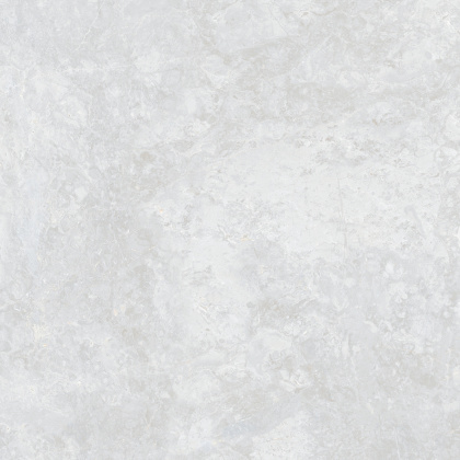 Ocean Fairy Керамогранит светло-серый 60х60 Полированный Ocean Fairy Керамогранит светло-серый 60х60 Полированный