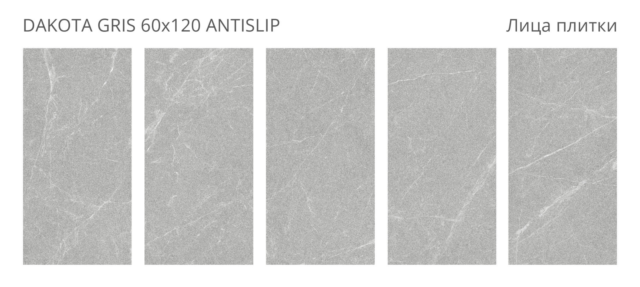 Керамогранит Dakota Gris 60х120 Antislip (2 шт.в уп)