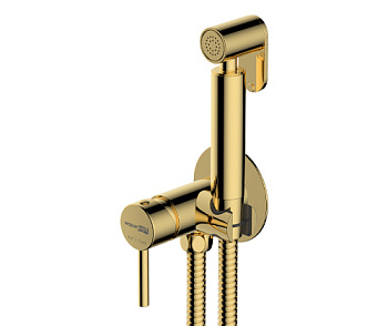 A70738 Встраиваемый смеситель для душа с гигиенической лейкой