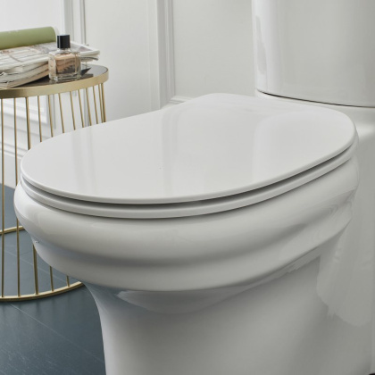 Чаша унитаза  UJAC102-0 Jacob Delafon Cleo белый безободковый, шт.