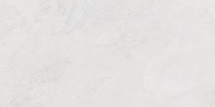 Porter Silver PRO Керамогранит светло-серый LP6012G0171R 59,5х119,1 матовый карвинг R10 STR