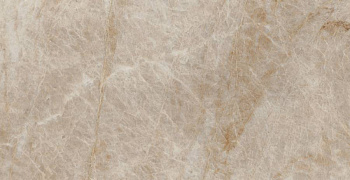 Керамогранит MO08 30,6x60,9x8 Непол.