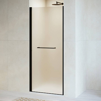 Душевая дверь RGW PA-103B, RGW 020810309-24