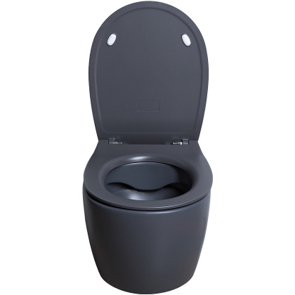 Чаша подвесного унитаза Allen Brau Fantasy 4.11004.AN антрацит