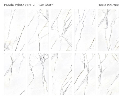 Керамогранит матовый PANDA WHITE 60х120 5мм MATT, Marbles Керамогранит матовый PANDA WHITE 60х120 5мм MATT, Marbles