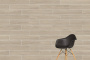 20х120 OakWood Греж Матовый R10A Ректификат