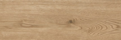 6264-0119-1001 Керамогранит Джордано_LB рустик мед. 20x60 _ 1\61,44